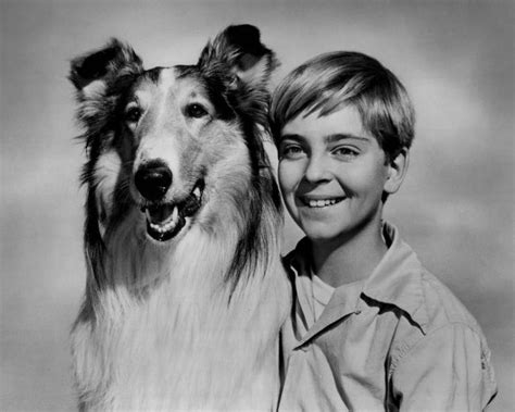 File Lassie Tommy Rettig Circa 1955  Wikimedia Commons
