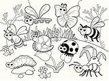Insectos Paginas Ninos sketch template
