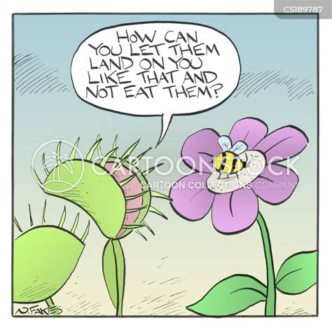 Pollen Cartoons And Comics Funny Pictures From Cartoonstock