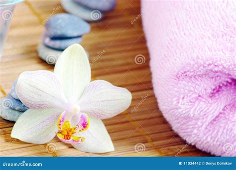 spa  orchids stock photo image  closeup concepts