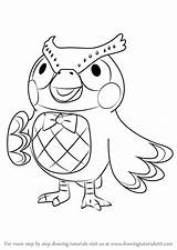 Crossing Blathers Drawingtutorials101 sketch template