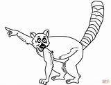Lemur Coloring Pages Cartoon Drawing Tailed Ring Printable Lemurs Clipart Clipartmag Kids Getdrawings Categories sketch template