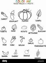 Colorier Legumes Légumes Alamyimages sketch template