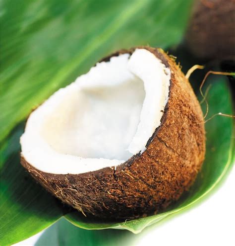 images  coconut beaches  pinterest coconut oil detox