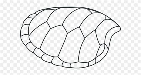 awesome image abstract turtle coloring page    png