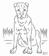 Boxer Coloring Dog Dogs Pages Printable Puppy Colouring Drawing Supercoloring Super Pitbull Printables Boxers sketch template