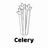 Vector Celery Coloring Celeriac Illustrations Similar Clip sketch template