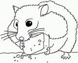 Hamster Kolorowanki Chomiki Ausdrucken Ausmalbilder Dla Malvorlagen Hamsters Chachipedia Besuchen Ausmalen sketch template