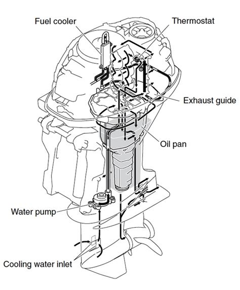 mercury outboard water flow diagram wiring info