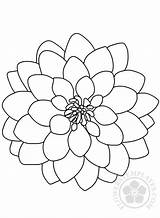 Dahlia Flower Coloring sketch template