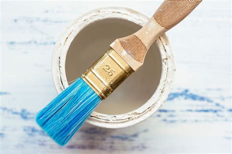 properly clean  care   paint brushes