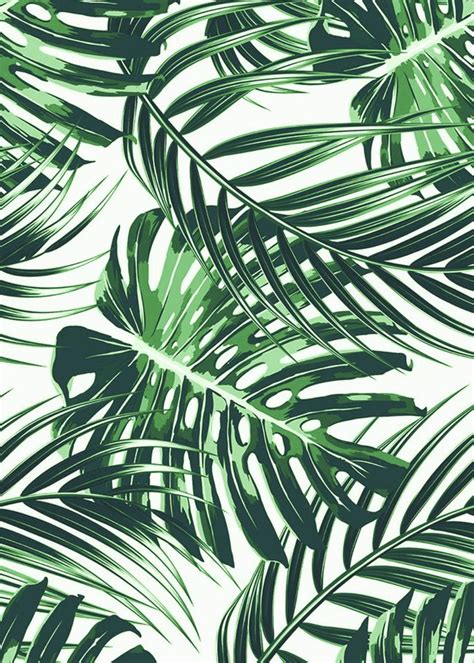 tropical leaves  art print  andreas leaves wallpaper iphone