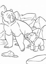 Bear Brother Coloring Pages Fun Kids Koda Book Kenai Personal Create Info Drawing Printable sketch template