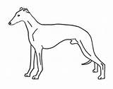 Clipart Whippet Lurcher Dog Clip Whippets Greyhound Silhouette Cliparts Clipground Thewhippet sketch template