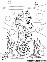 Seahorse Choisir Tableau sketch template