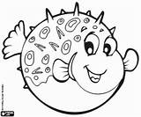 Blowfish Peix Kugelfisch Pintar Fisch Pufferfish Globus Ausmalbilder Malvorlagen Sketchite Giftig és Designlooter Fische sketch template