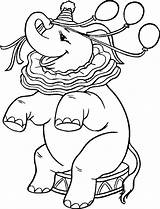Circus Coloring Pages Elephant sketch template