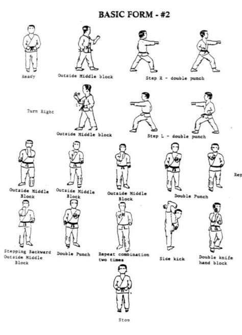 Basic Form 2 World Martial Arts Academy