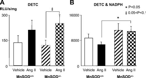 Sex Differences In Protection Against Angiotensin Ii–induced