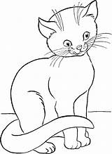 Coloring Pages Kids Animal Cat Sheets sketch template