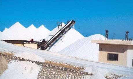 armed men halt production  north sinai salt factory mena economy