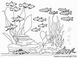 Coloring Ocean Pages Floor Underwater Kids Sea Realistic Drawing Color Fish Print Plankton Printable Clipart Albanysinsanity Habitat Library Getcolorings Cliparts sketch template