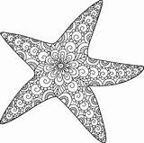 Starfish Stella Marina Disegno Colorare Elemento Colorazione Progettazione Stroke Stelle Adulti Somjai sketch template