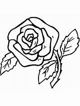 Coloring Rose Pages Printable Flower Print Flowers sketch template