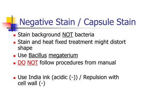 negative stain capsule stain powerpoint    id