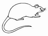 Rat Szczur Kolorowanki Ratos Colorir Desenhos Bestcoloringpagesforkids Dzieci Rats Kleurplaat Rato Kleurplaten Animal Afdrukbare sketch template