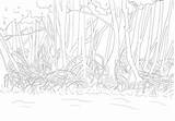 Mangroves Namepa Mangrove sketch template