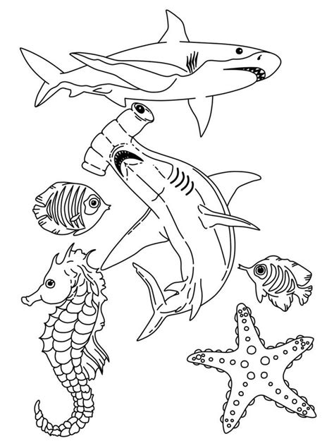 sea animals coloring pages clip art library