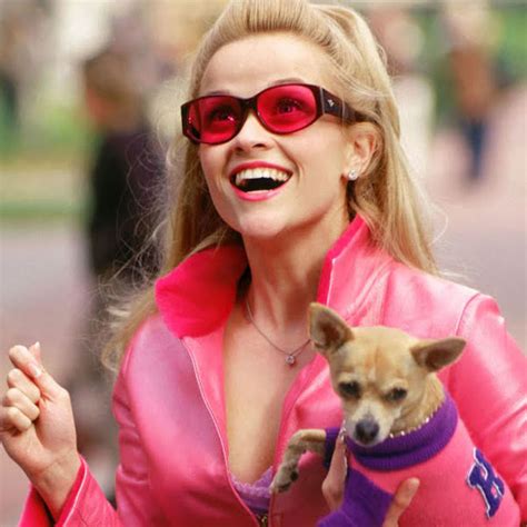 legally blonde trivia 14 facts about legally blonde movie