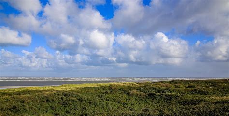 der schoene und foto bild deutschland europe niedersachsen