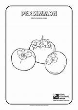 Coloring Persimmon Pages Cool Fruit Color Print Kids sketch template