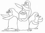 Coloring Penguins Madagascar Pages Getcolorings Gloria sketch template