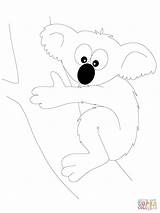 Koala Bear Coloring Funny Pages Drawing Step Dot Printable Designlooter Getdrawings sketch template