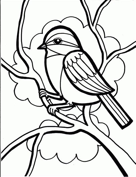 bird feeder coloring page  getdrawings