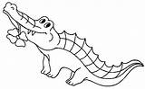 Crocodile Coloring Pages Cartoon Kids Printable sketch template