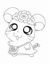 Schattige Hamster Hamtaro Ausmalbilder Diertjes Uitprinten Animaatjes Tekenen Downloaden Bord sketch template
