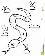 Snake Coloring Grass Cartoon Old Years Project Drawings 21kb 1300px 1055 Stock sketch template
