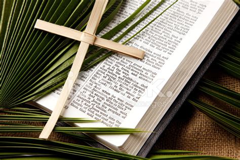 palm sunday bible passage  symbols stock photo royalty