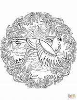 Animal Mandala Coloring Pages sketch template