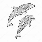 Kleurplaat Dolfijn Dolphin Delfin Kleurplaten Colorear Volwassenen Dolfijnen Voor Moeilijk Erwachsene Moeilijke Delphin St2 Zentangle Delfín sketch template