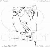 Tree Chubby Outlined Owl Clipart Cartoon Picsburg Coloring Vector Royalty sketch template