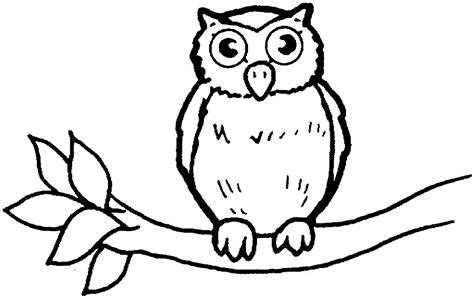 owl babies colouring pages