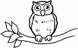 Coloring Owl Baby Babies Colouring Pages Owls She Sheet sketch template