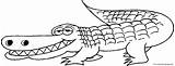 Alligator Grinning Everfreecoloring Designlooter Pikachu 2864 sketch template