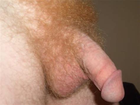 Supaflyguy S Photo Album Big Hairy Ginger Cock Xtube