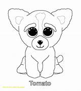Boo Beanie Coloring Pages Ty Getdrawings Only sketch template